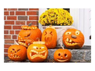 zucche halloween zucche halloween